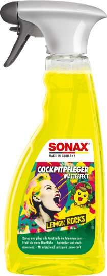 INNENRAUMPFLEGE