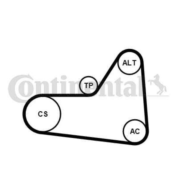 Keilrippenriemen Kit Continental 6 PK 1070 K1