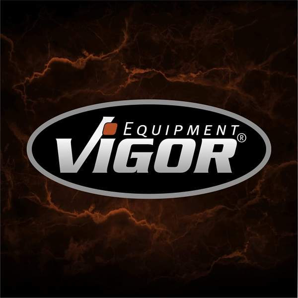 VIGOR V6905 Reifenfüller / Druckluftprüfer